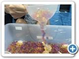 [Messy Play 上午班] 睇到眼都唔眨