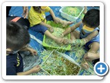 [Messy Play 下午班]